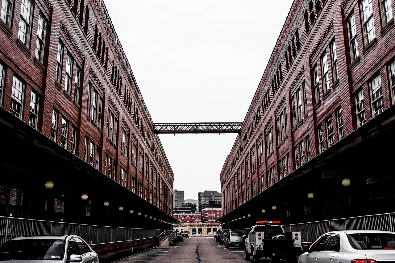 北京觀賞魚市場批發(fā)市場地址電話，北京觀賞魚市場地址 觀賞魚市場（混養(yǎng)魚） 第2張