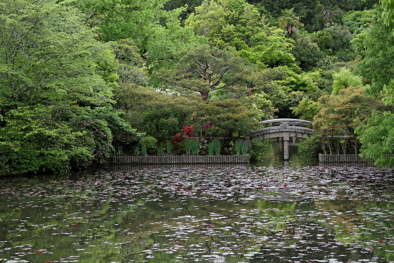 生態(tài)魚(yú)缸安裝視頻：打造獨(dú)特的水族生態(tài)環(huán)境，生態(tài)魚(yú)缸安裝視頻 BD魟魚(yú) 第2張