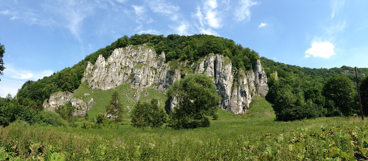 遼陽白塔區(qū)御景假山園藝工程處，你是我心中的美麗風景