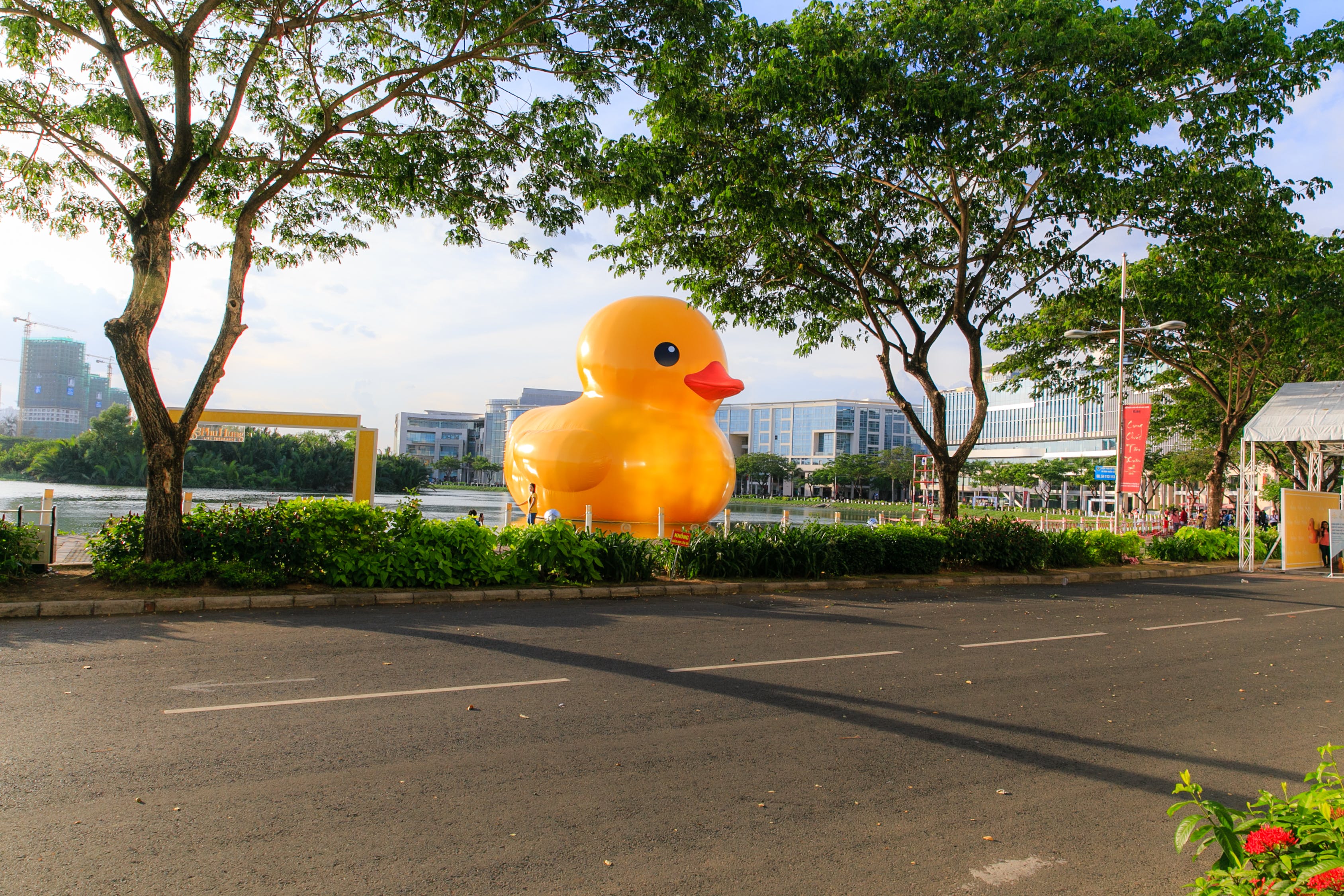 沈陽市沈河區(qū)國慶養(yǎng)殖場的優(yōu)勢和特點 全國水族館企業(yè)名錄 第3張