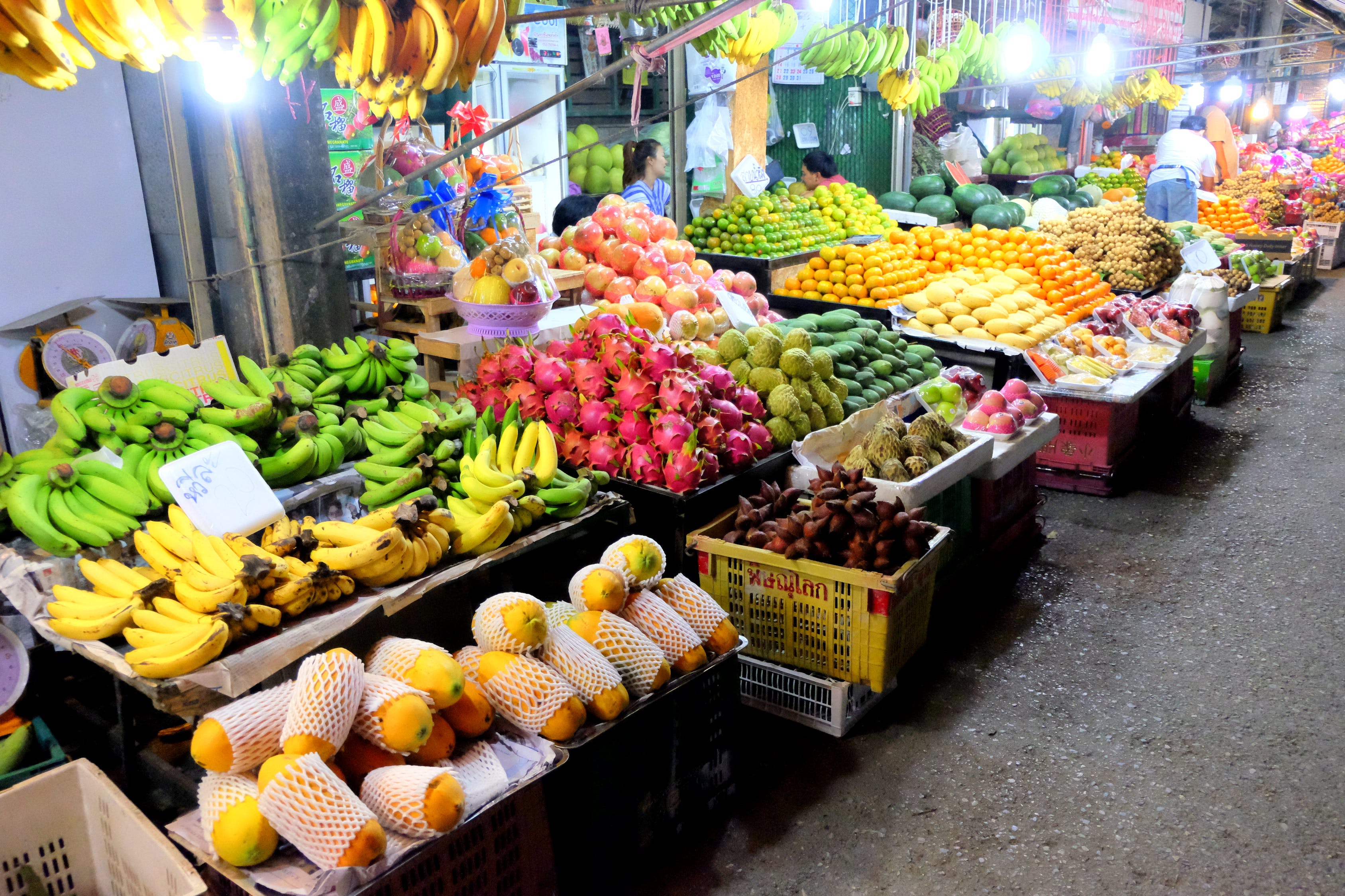 大連家具市場熱帶雨林魚店（大連熱帶魚批發(fā)市場） 全國水族館企業(yè)名錄 第3張