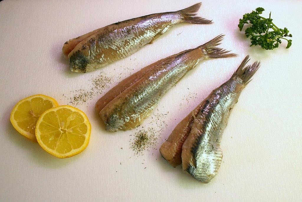 小精靈吃魚(yú)食嗎（小精靈喂什么魚(yú)食） 潛水泵 第4張