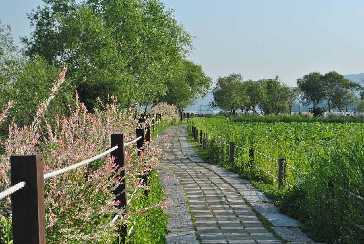 深圳市世外園林造景有限公司（深圳市世外園林造景有限公司怎么樣）