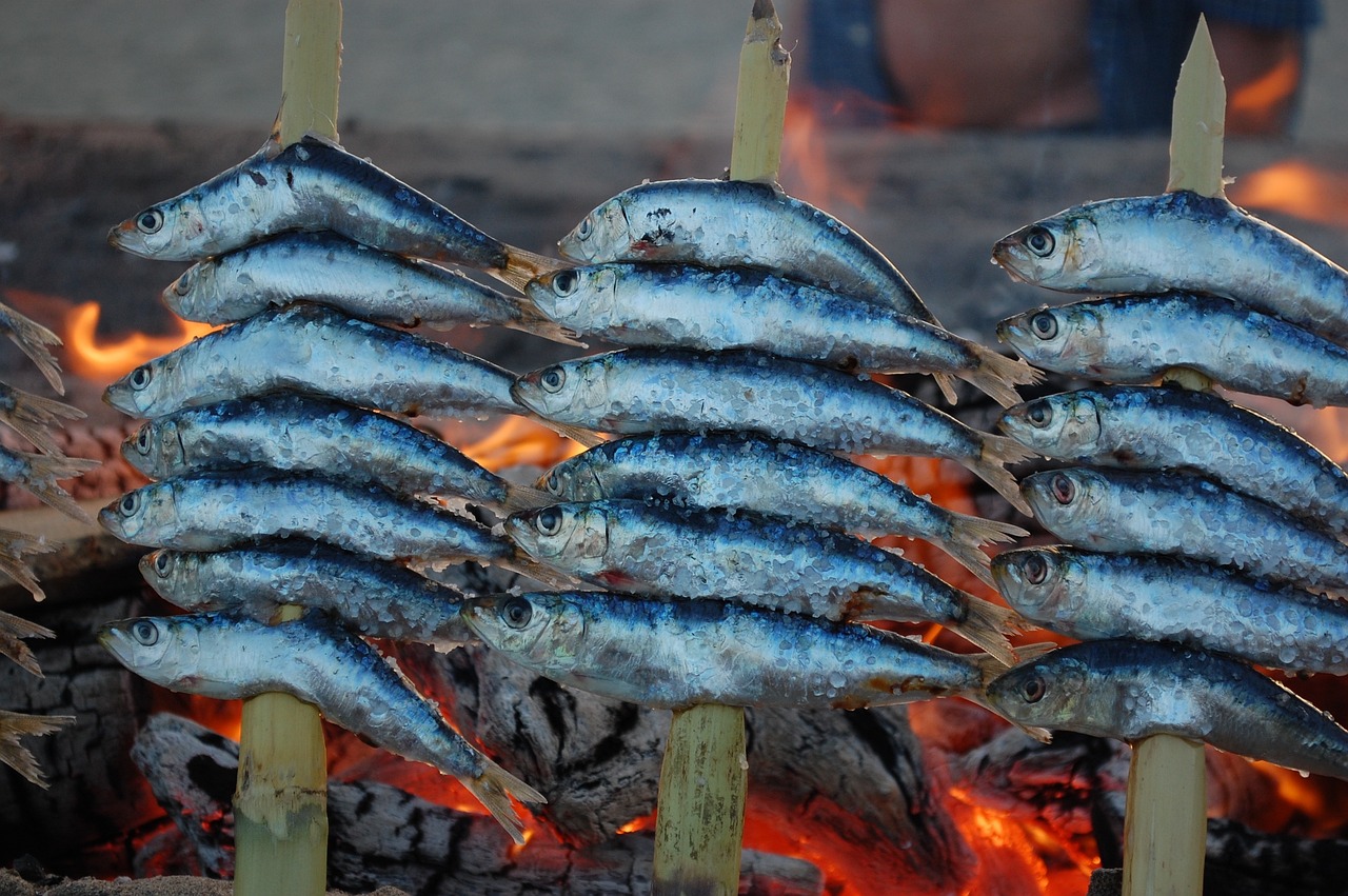 銀槍魚的做法圖片（金槍魚做法圖片） 紅尾平克魚 第3張