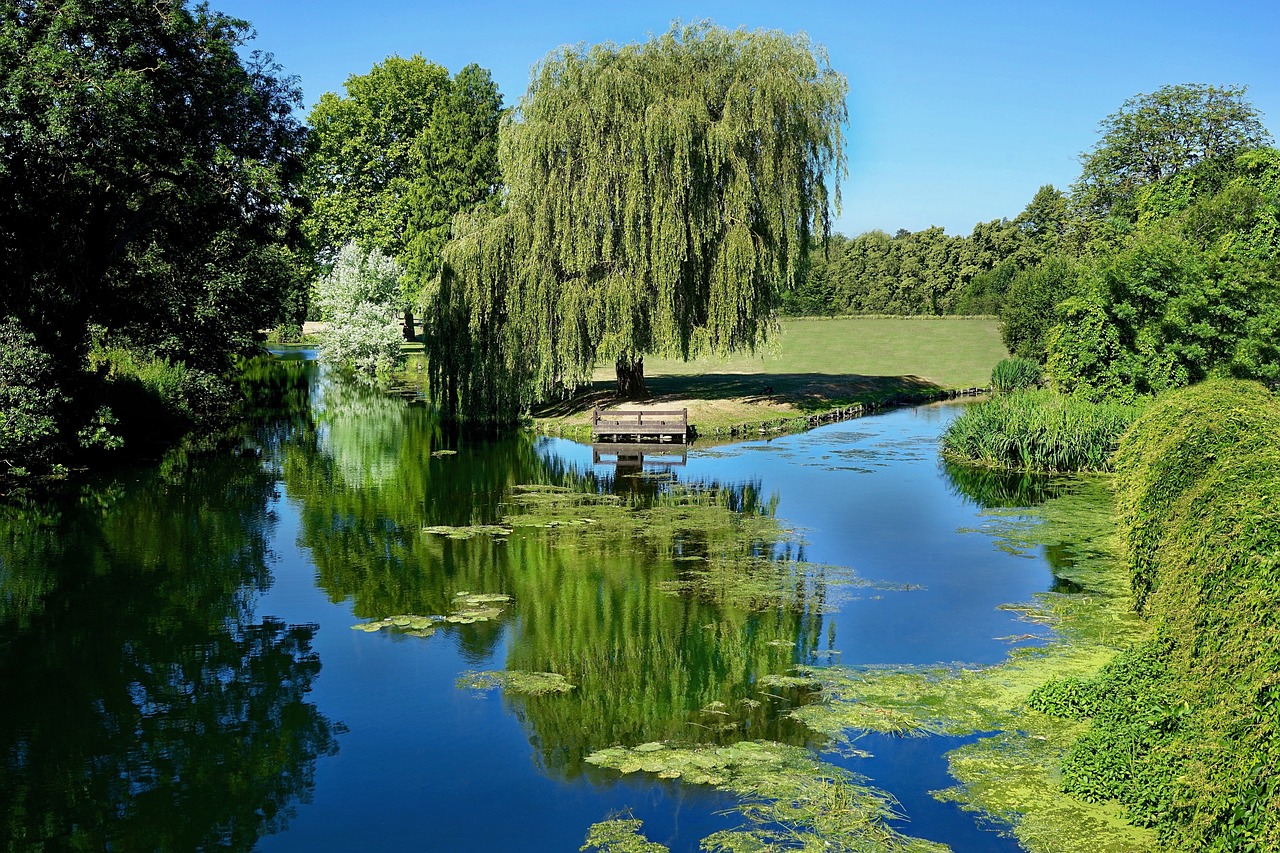 武漢東湖生態(tài)旅游風(fēng)景區(qū)綠庭花卉經(jīng)營(yíng)部（武漢東湖生態(tài)旅游風(fēng)景區(qū)綠庭花卉經(jīng)營(yíng)部電話）