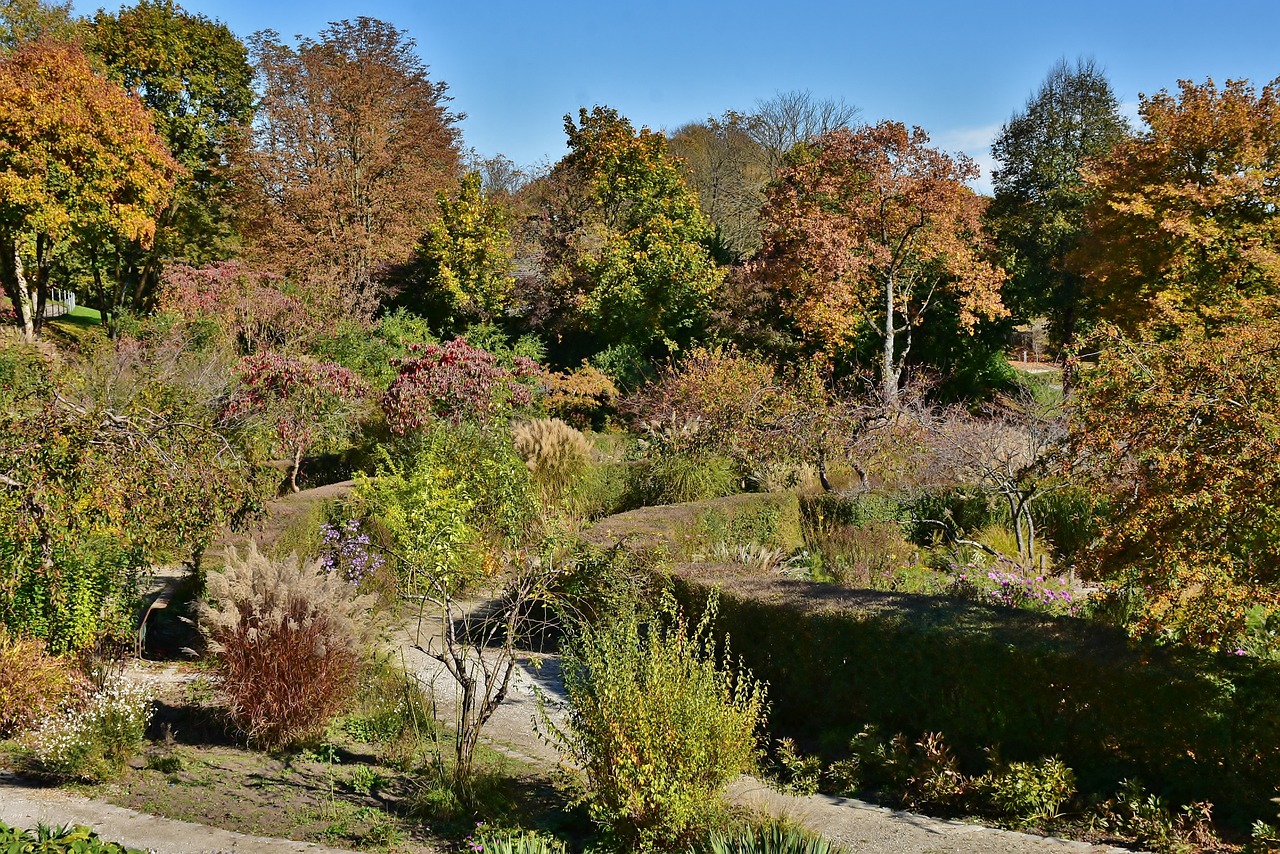 沈陽市和平區(qū)旭光花卉種植園（沈陽市和平區(qū)旭光花卉種植園地址）