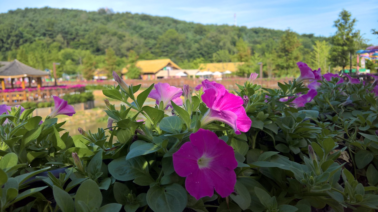 長(zhǎng)沙市芙蓉區(qū)山語園林花卉商行（長(zhǎng)沙市芙蓉區(qū)山語園林花卉商行地址） 全國(guó)水族館企業(yè)名錄 第2張