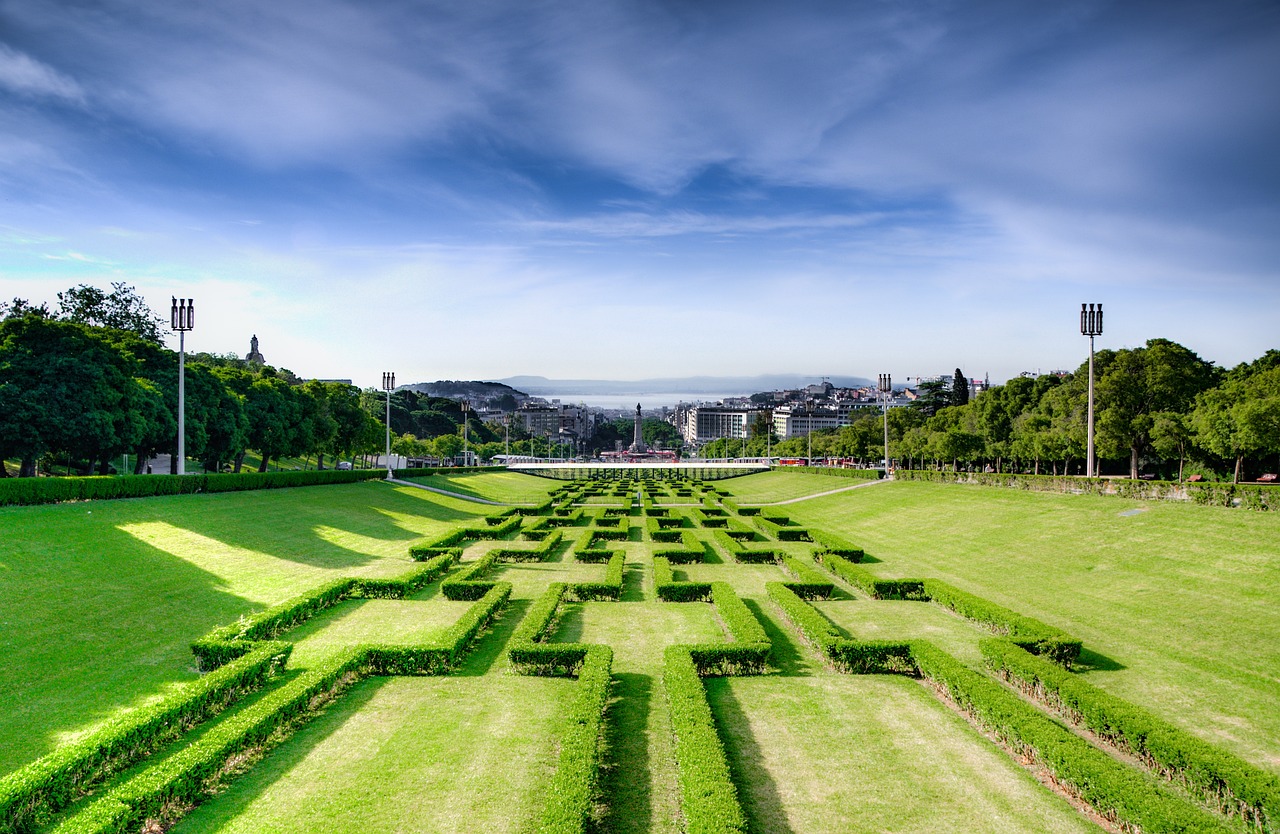 攀枝花市斯維克園藝造景工藝室（攀枝花市斯維克園藝造景工藝室地址） 全國水族館企業(yè)名錄 第5張