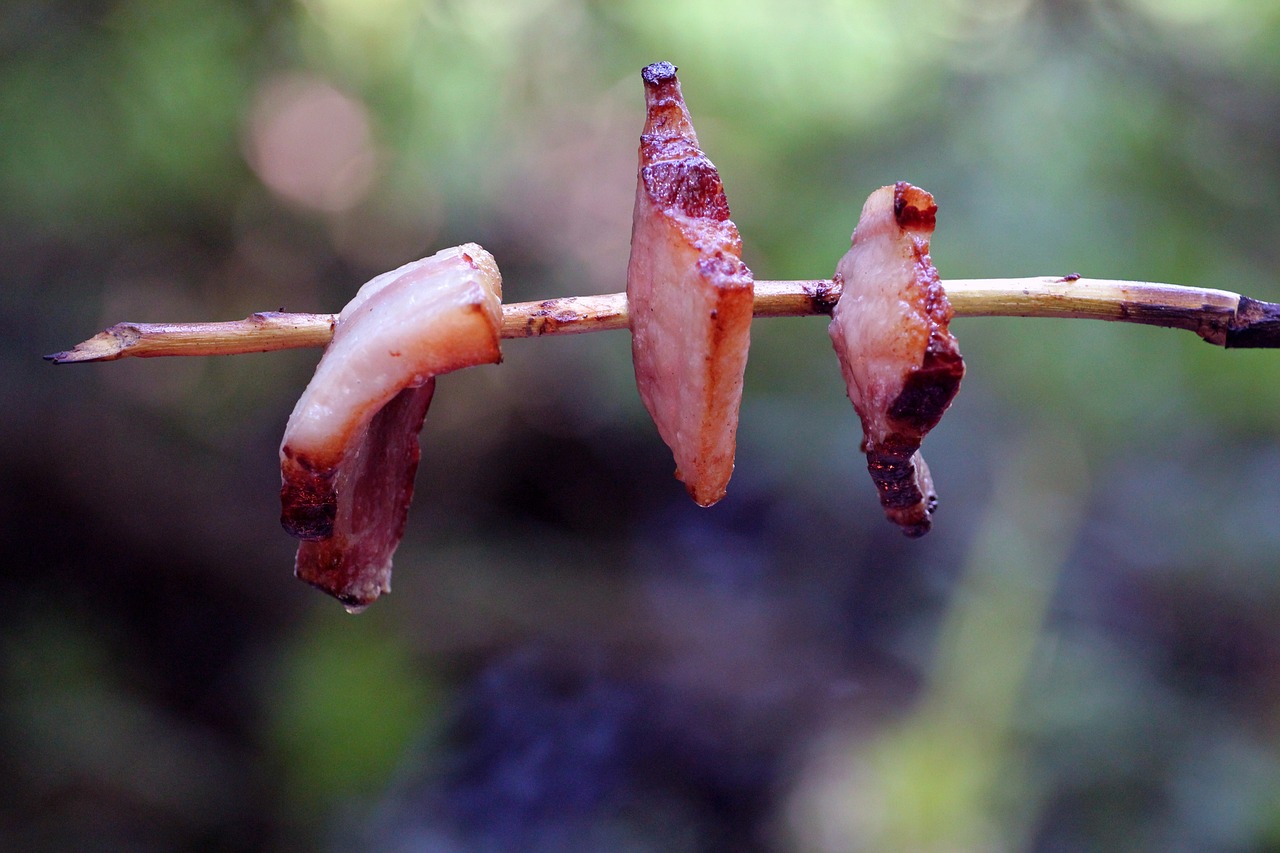 草繩恐龍魚好養(yǎng)不（草繩魚怎么養(yǎng)） 黃吉金龍（白子金龍魚） 第4張