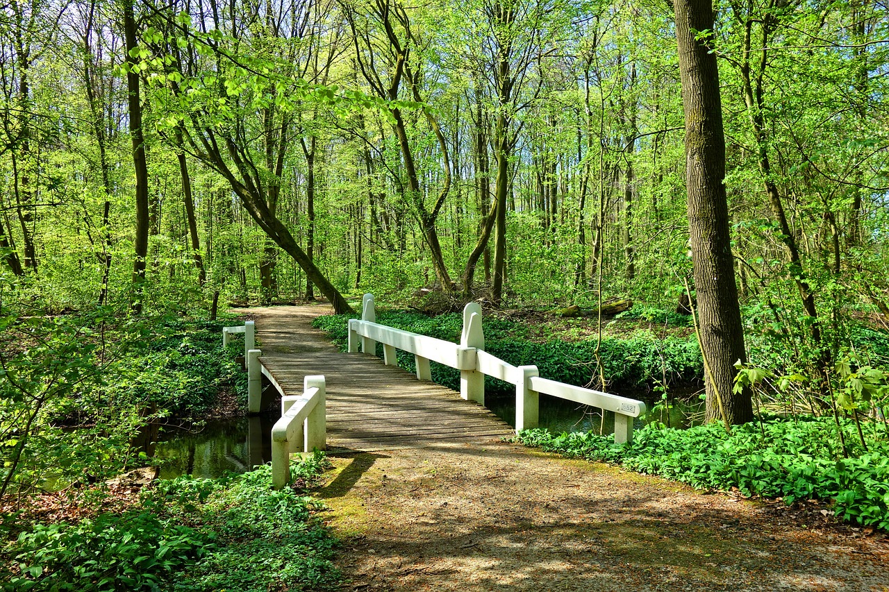 內(nèi)蒙古春達園林景觀工程有限公司