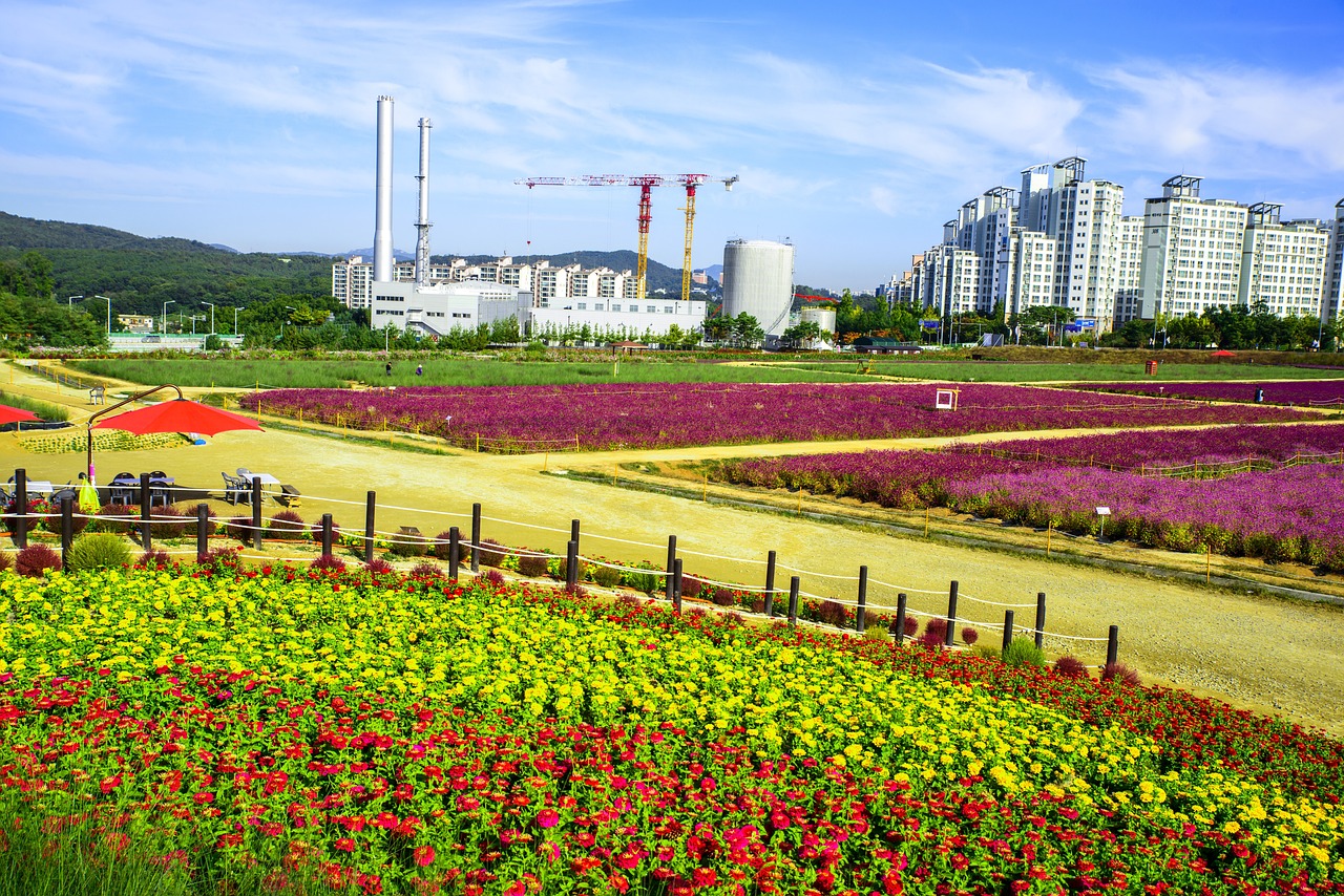 北京旺北方花卉門市部