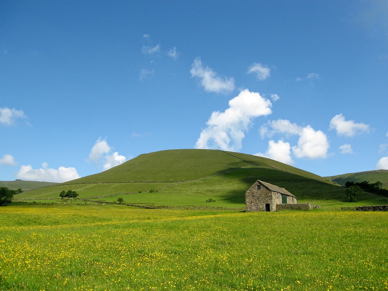 鞍山千山風(fēng)景區(qū)鑫玲養(yǎng)殖（鞍山千山風(fēng)景區(qū)鑫玲養(yǎng)殖場地址） 全國水族館企業(yè)名錄 第3張