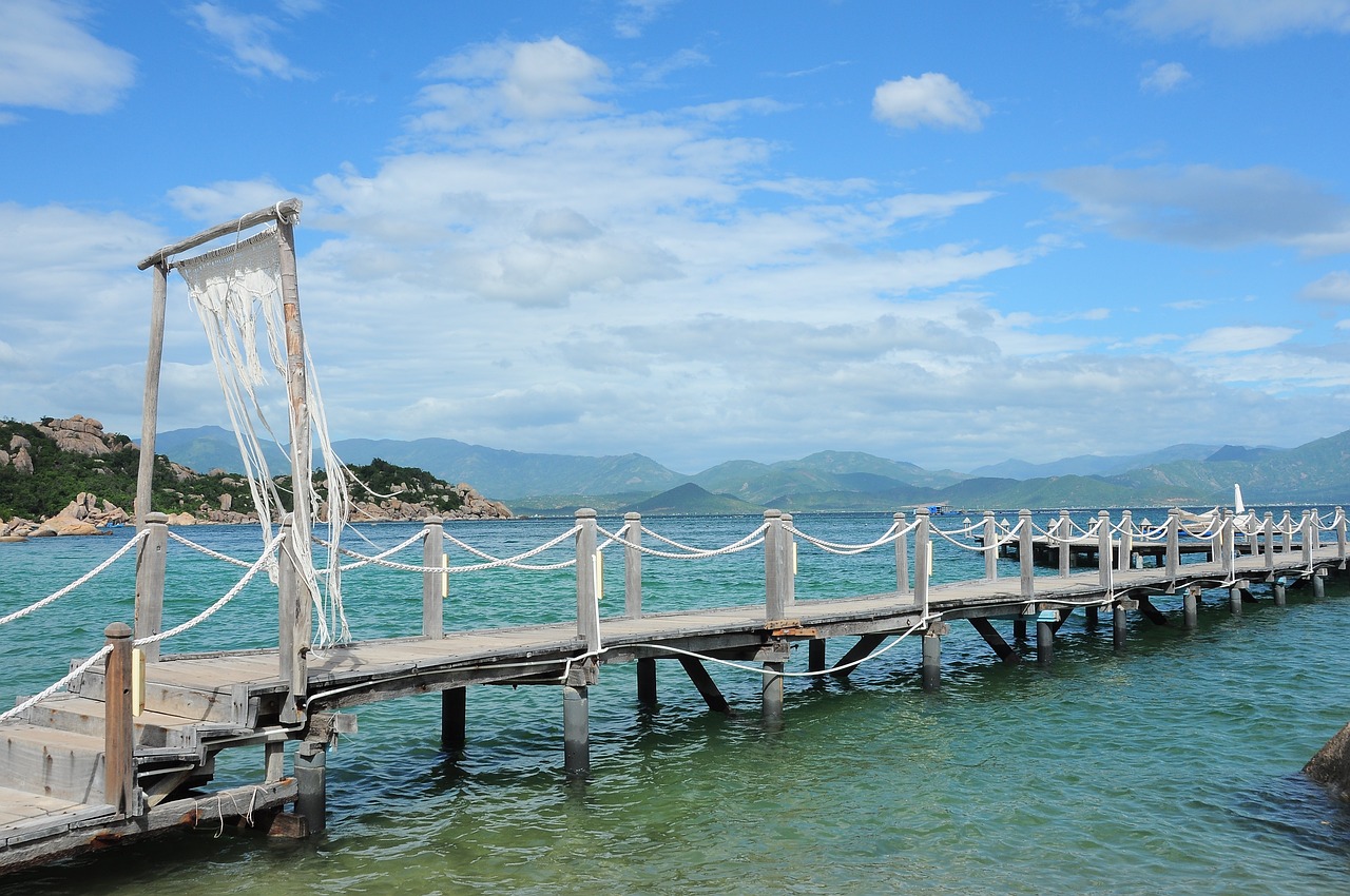 戰(zhàn)船適合和什么魚(yú)混養(yǎng)呢（戰(zhàn)船適合和什么魚(yú)混養(yǎng)呢圖片） 廣州祥龍國(guó)際水族貿(mào)易 第4張