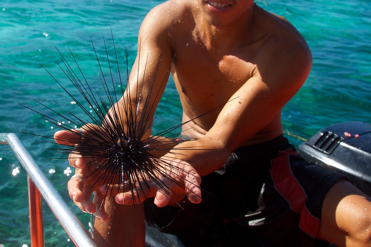 魚缸打氧之后容易渾濁，魚缸換水后水變白霧渾濁怎么辦 養(yǎng)魚的好處 第2張