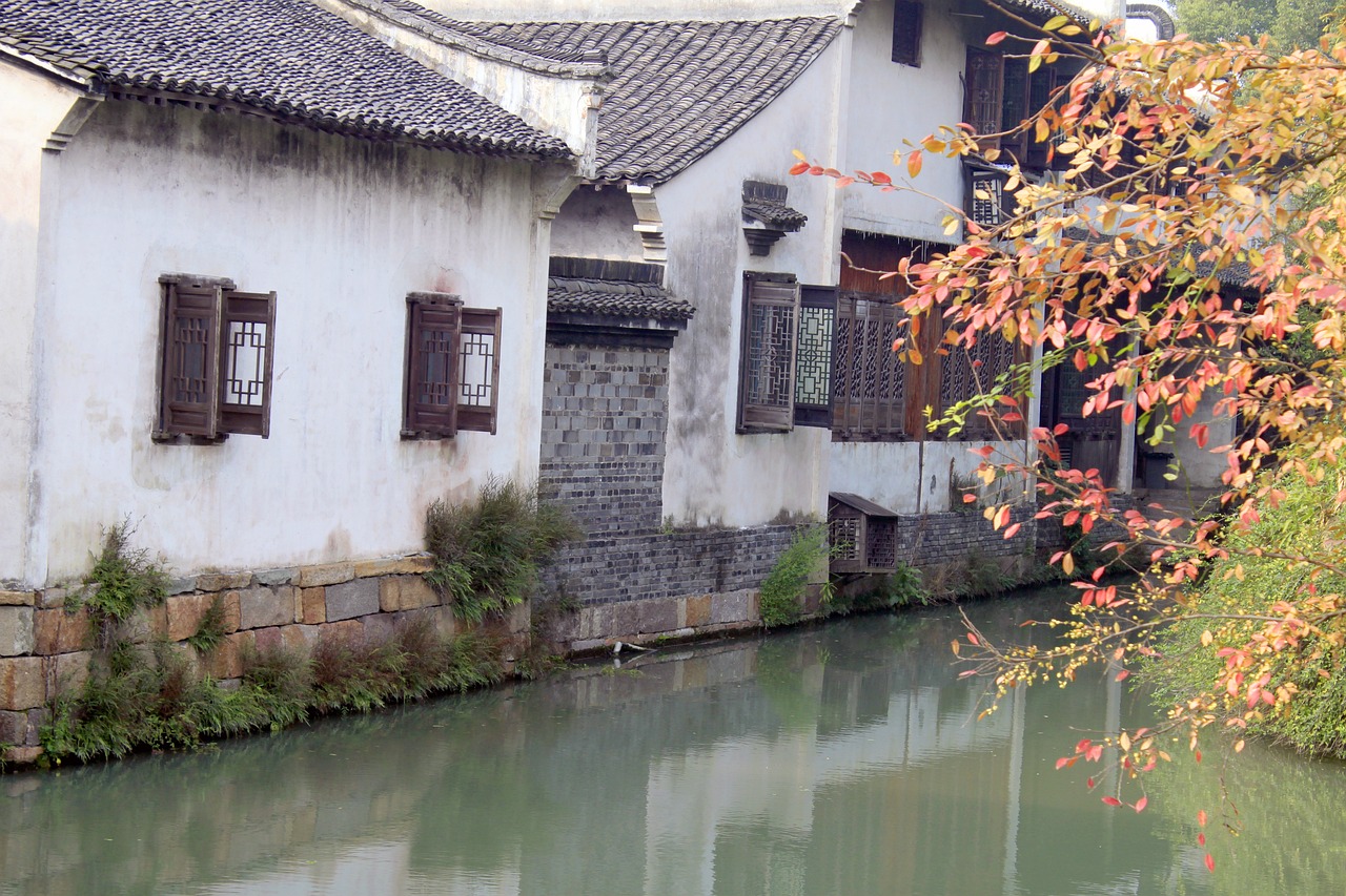 上海浦東觀賞魚批發(fā)市場(chǎng)地址電話（上海浦東觀賞魚批發(fā)市場(chǎng)地址電話號(hào)碼）