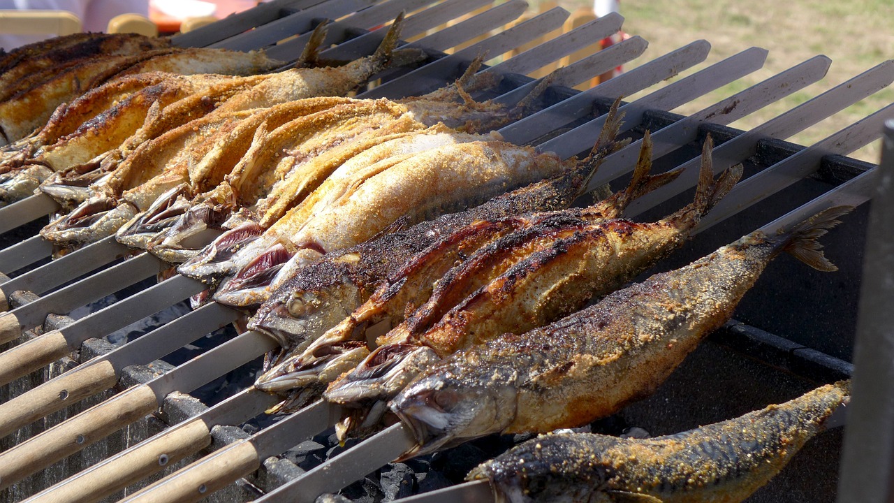 龍魚張嘴不吃食物（龍魚張嘴不吃食物怎么治）