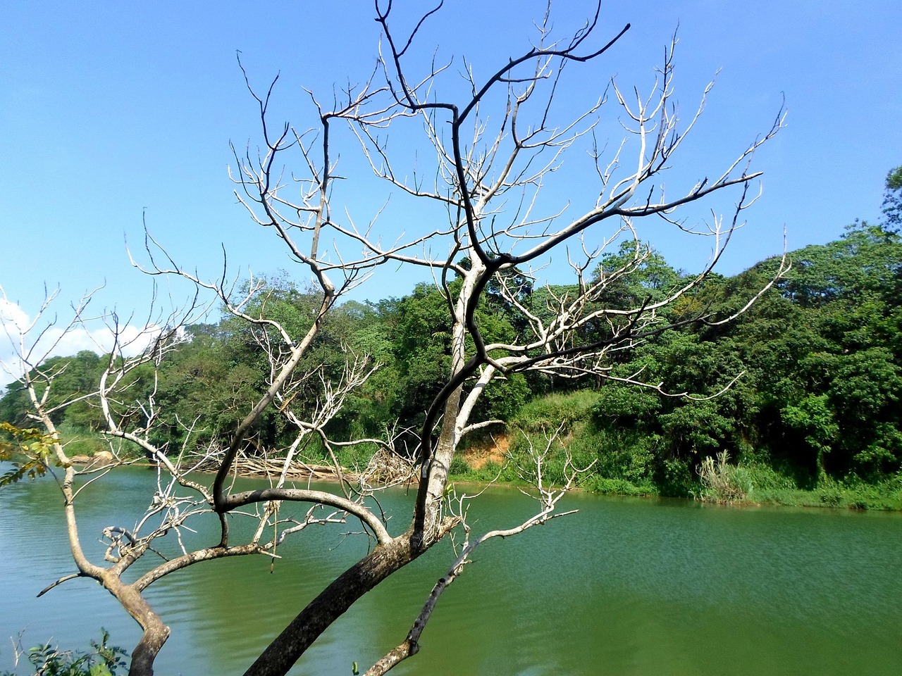 盤州市讀秀造景工作室（盤州市讀秀造景工作室地址） 全國水族館企業(yè)名錄 第3張