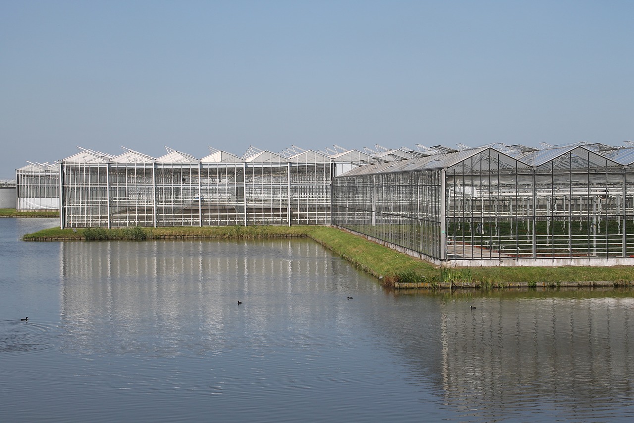 山東京誠園藝工程有限公司（山東京誠園藝工程有限公司怎么樣） 全國水族館企業(yè)名錄 第4張