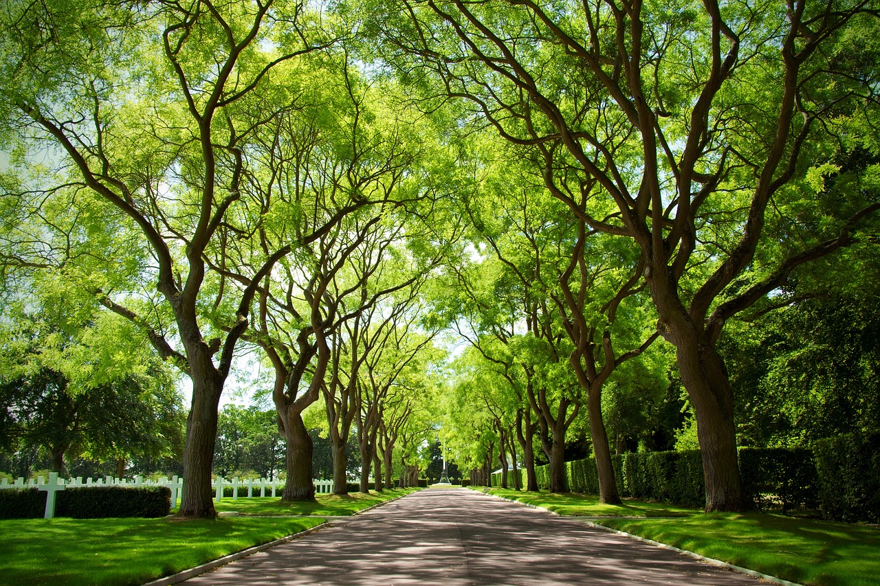 河南省花枝俏園林景觀工程有限公司（花枝俏含義） 全國(guó)水族館企業(yè)名錄 第3張