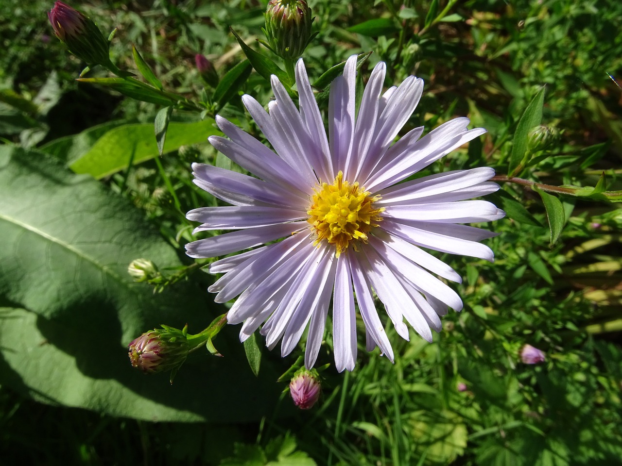 耿馬漫秋花藝室內造景體驗館