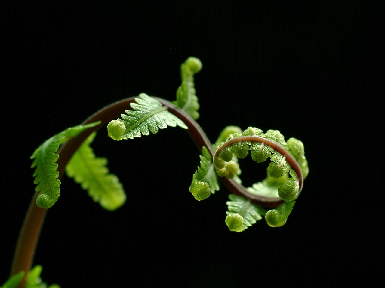 韶關(guān)綠生活生物科技有限公司（韶關(guān)綠生活生物科技有限公司怎么樣）