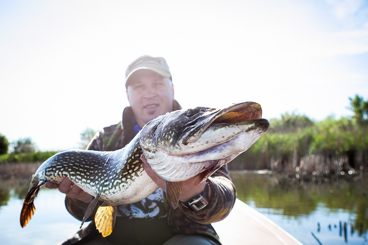 怎么調(diào)魚缸水質(zhì)：調(diào)節(jié)魚缸水質(zhì)常見四種方法