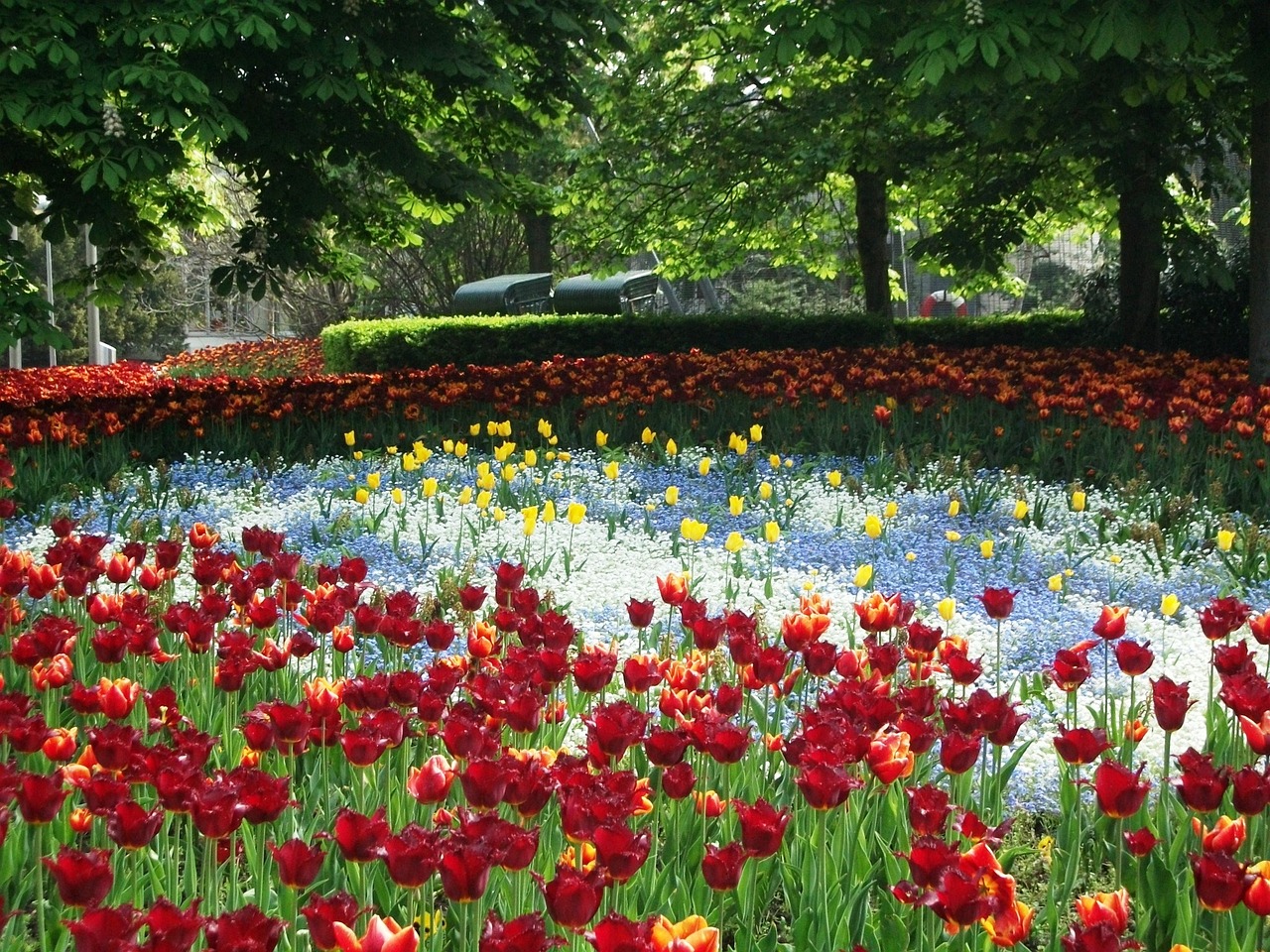 亳州市百花藝園有限責(zé)任公司（亳州市百花藝園有限責(zé)任公司招聘）