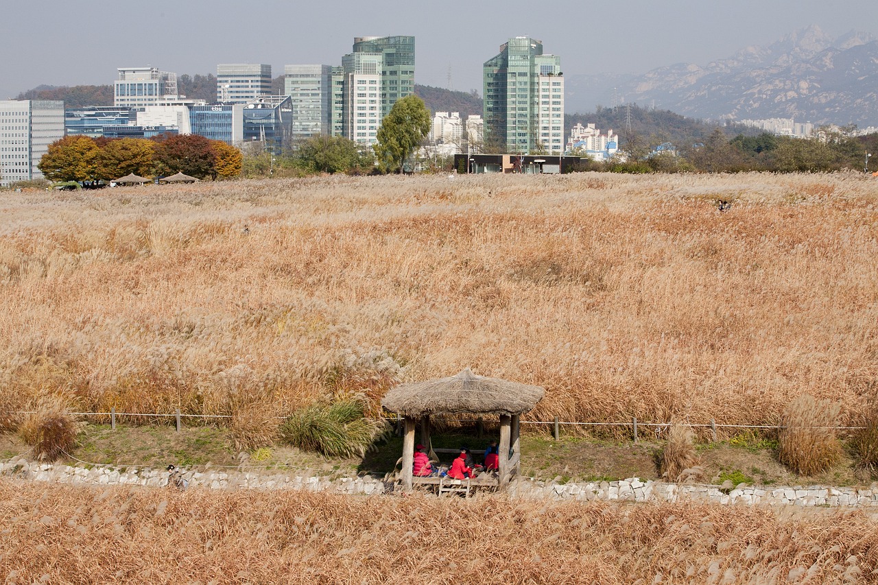 浙草地園林市政建設(shè)發(fā)展有限公司寧海分公司（浙江草地）