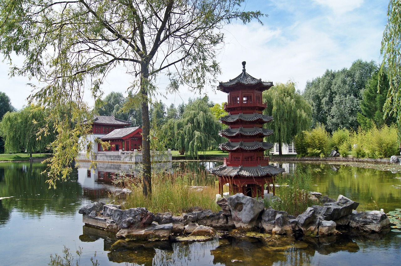 深圳碧草園園林造景有限公司（深圳碧草園園林造景有限公司怎么樣）