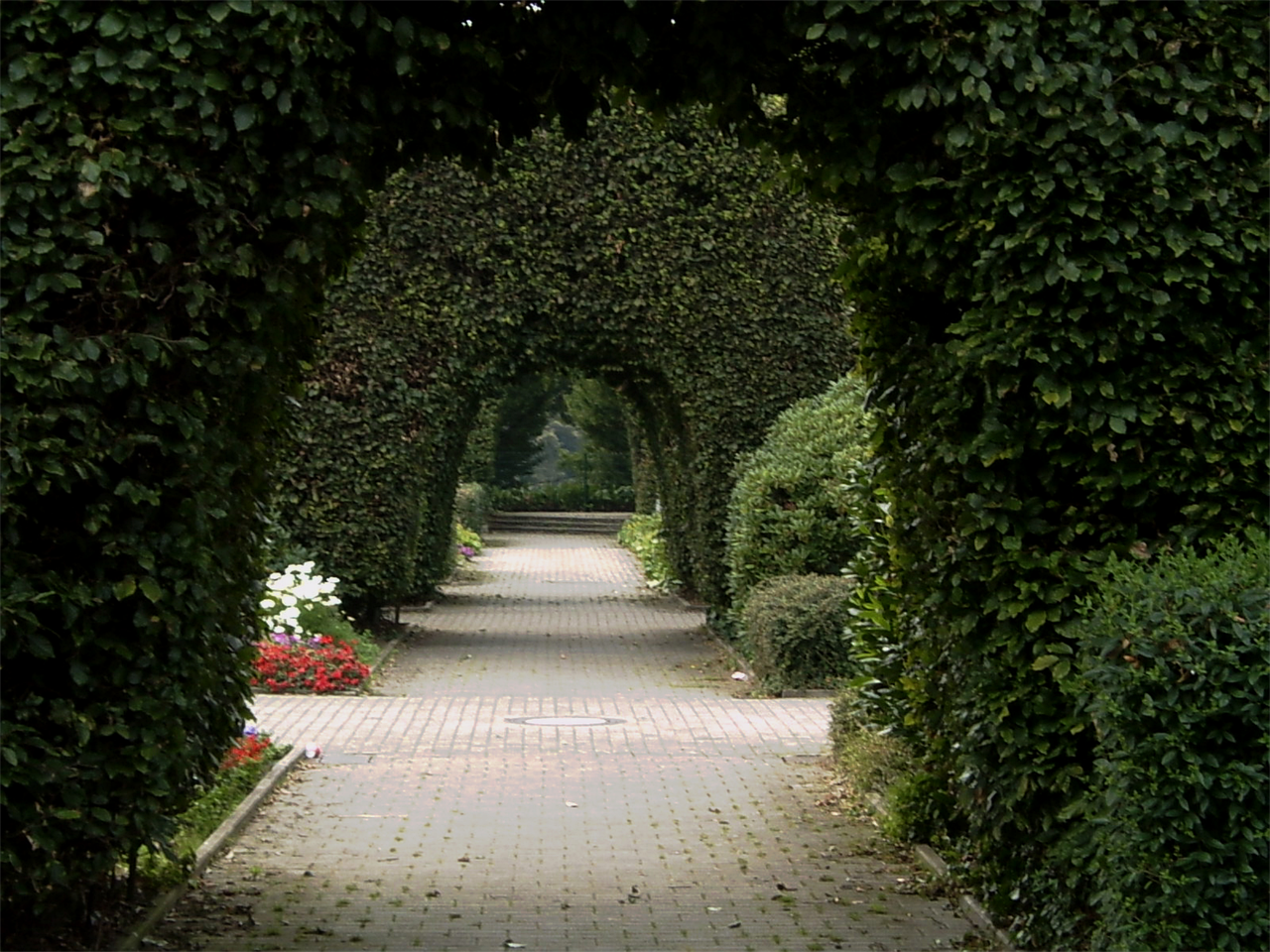 深圳碧草園園林造景有限公司（深圳碧草園園林造景有限公司怎么樣）