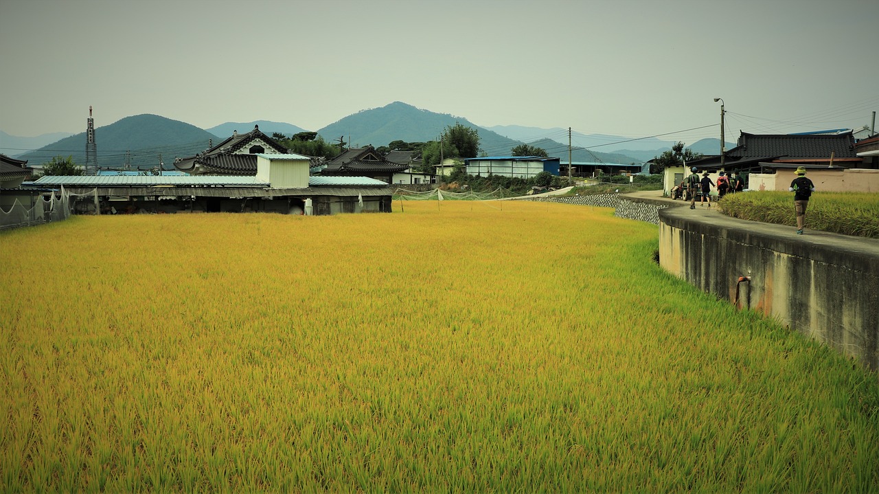 哈爾濱市松北區(qū)佰君種植園（哈爾濱市松北區(qū)佰君種植園在哪） 全國水族館企業(yè)名錄 第1張