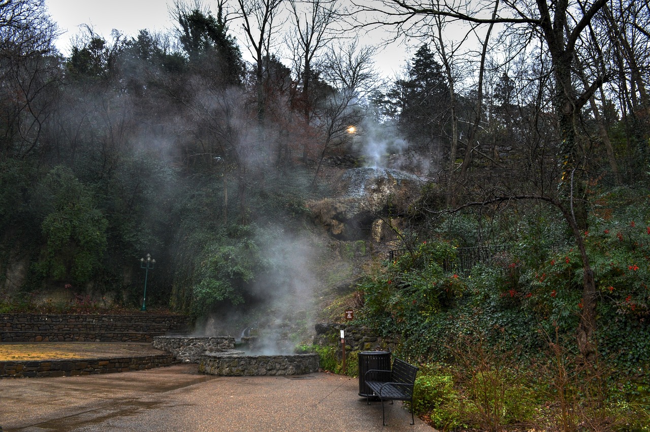 德州市德城區(qū)九龍寨園林景觀苗木花卉培育中心（德州九龍灣花卉市場在哪） 全國水族館企業(yè)名錄 第4張