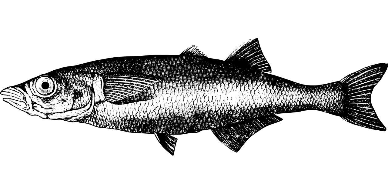 岳陽(yáng)魚(yú)缸安裝師傅電話(huà)多少號(hào)（魚(yú)缸安裝工電話(huà)）