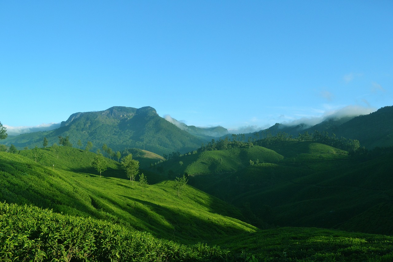 平度桃園沽河家庭農(nóng)場(chǎng)（平度桃園沽河家庭農(nóng)場(chǎng)電話） 全國(guó)水族館企業(yè)名錄 第4張