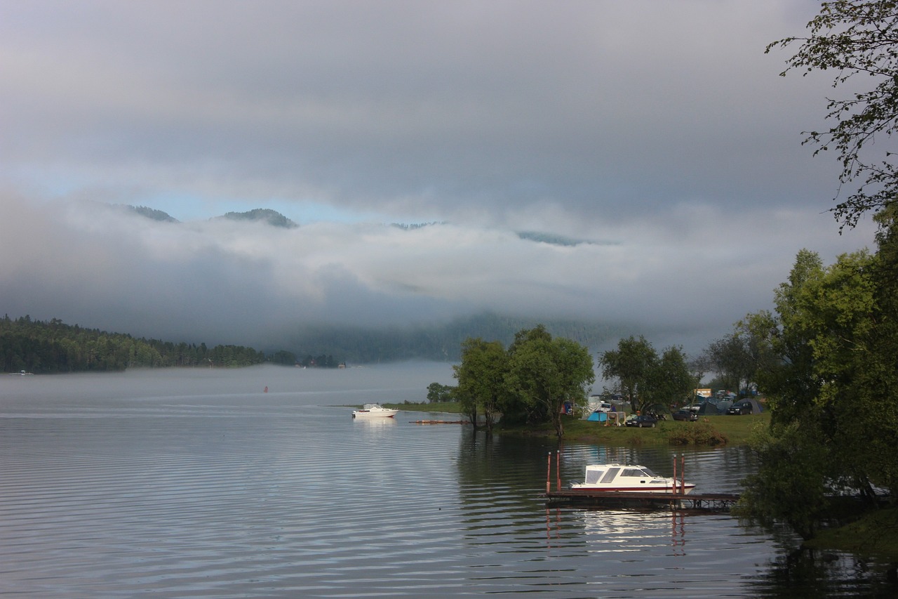 市南區(qū)大山漁樂漁具行（青島大魚山） 全國水族館企業(yè)名錄 第1張