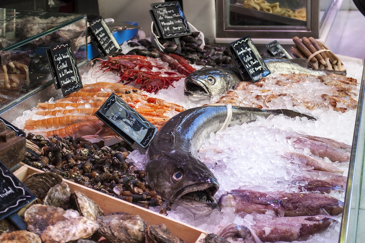 撫寧縣城關(guān)鴻玥觀賞魚商店（撫寧水族館賣魚） 全國水族館企業(yè)名錄 第4張