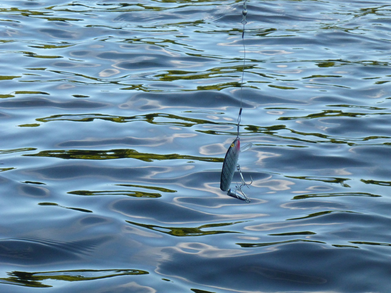 龍魚(yú)掉眼手術(shù)后注意什么，龍魚(yú)掉眼手術(shù)多少錢(qián) 魟魚(yú)百科 第3張