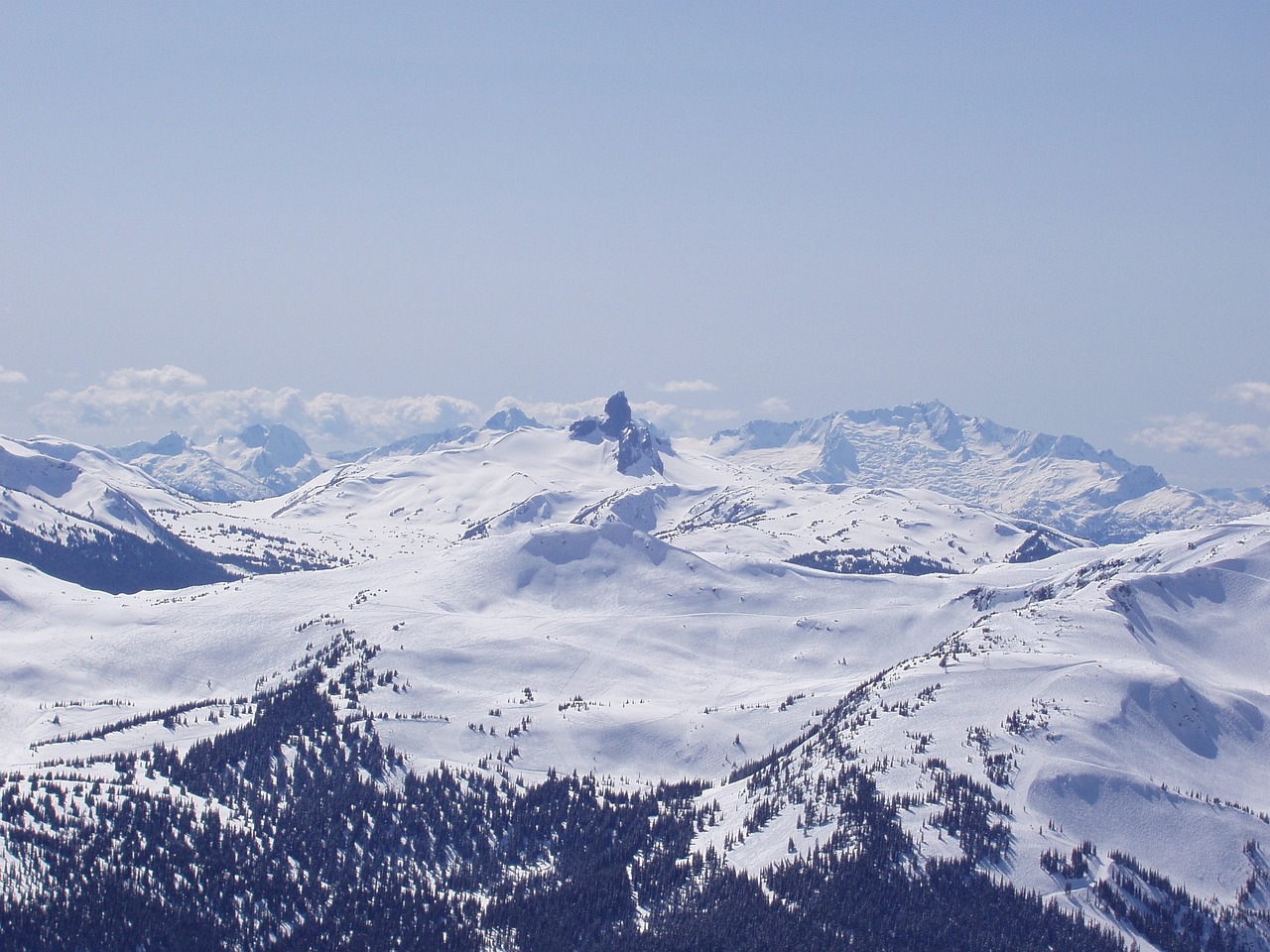 鞍山市立山區(qū)高山流水養(yǎng)生匯