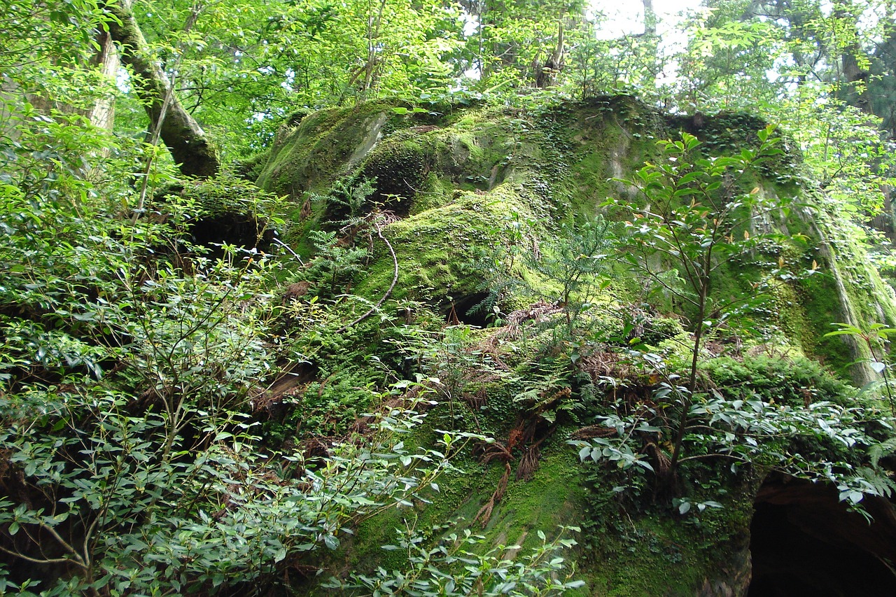 萊蕪市鋼城區(qū)歐亞生態(tài)農(nóng)業(yè)園（萊蕪市鋼城區(qū)歐亞生態(tài)農(nóng)業(yè)園地址） 全國水族館企業(yè)名錄 第2張