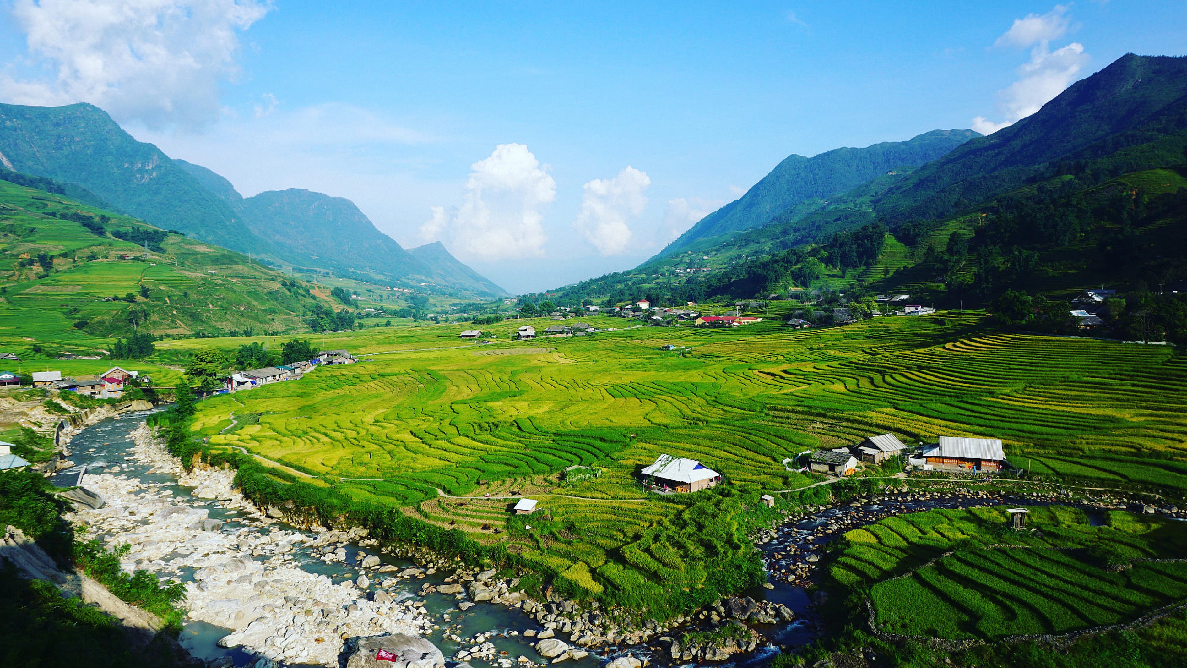 梯田魚缸造景圖片大全（梯田魚缸造景圖片大全大圖）