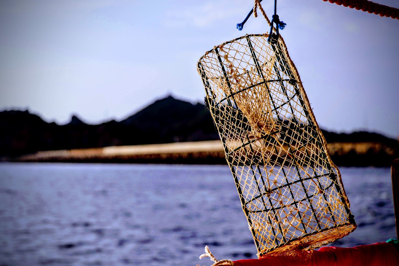 北京賣觀賞魚從哪進(jìn)貨的好（北京賣觀賞魚從哪進(jìn)貨的好一點） 觀賞魚 第2張