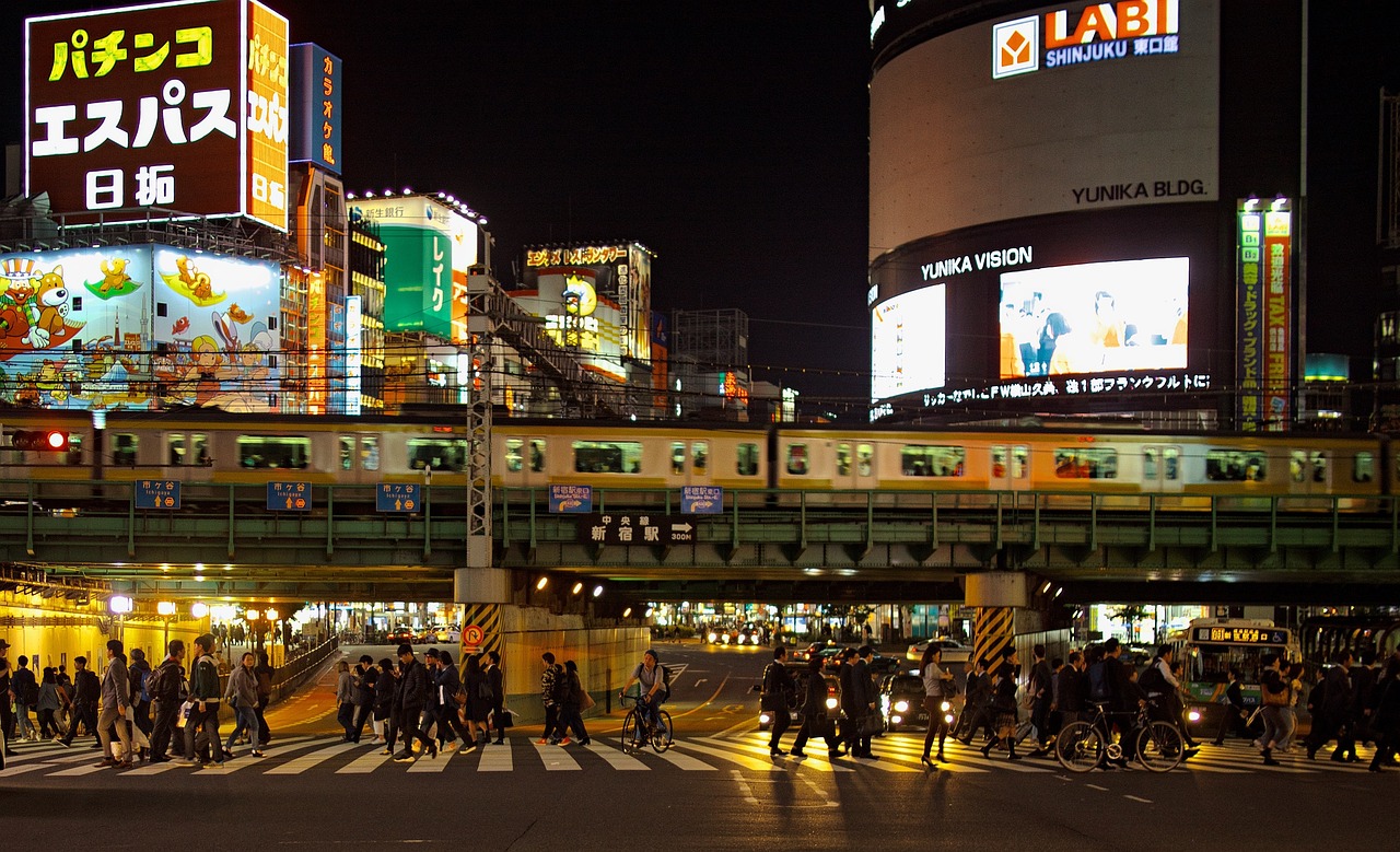 儋州觀賞魚批發(fā)市場(儋州魚苗批發(fā)市場) 觀賞魚批發(fā) 第3張