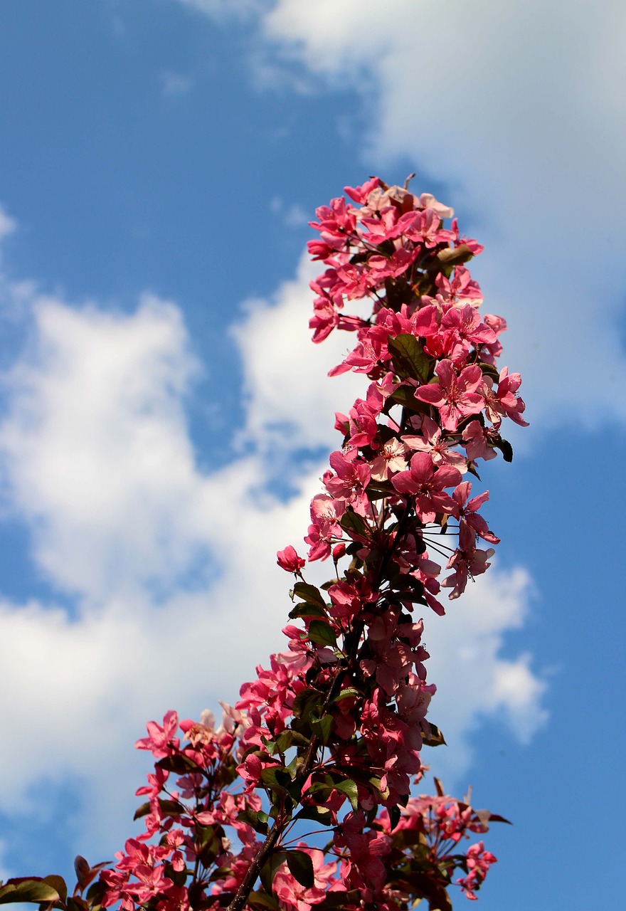 沁陽市聯(lián)盟花卉經(jīng)銷處（沁陽市聯(lián)盟花卉經(jīng)銷處電話）