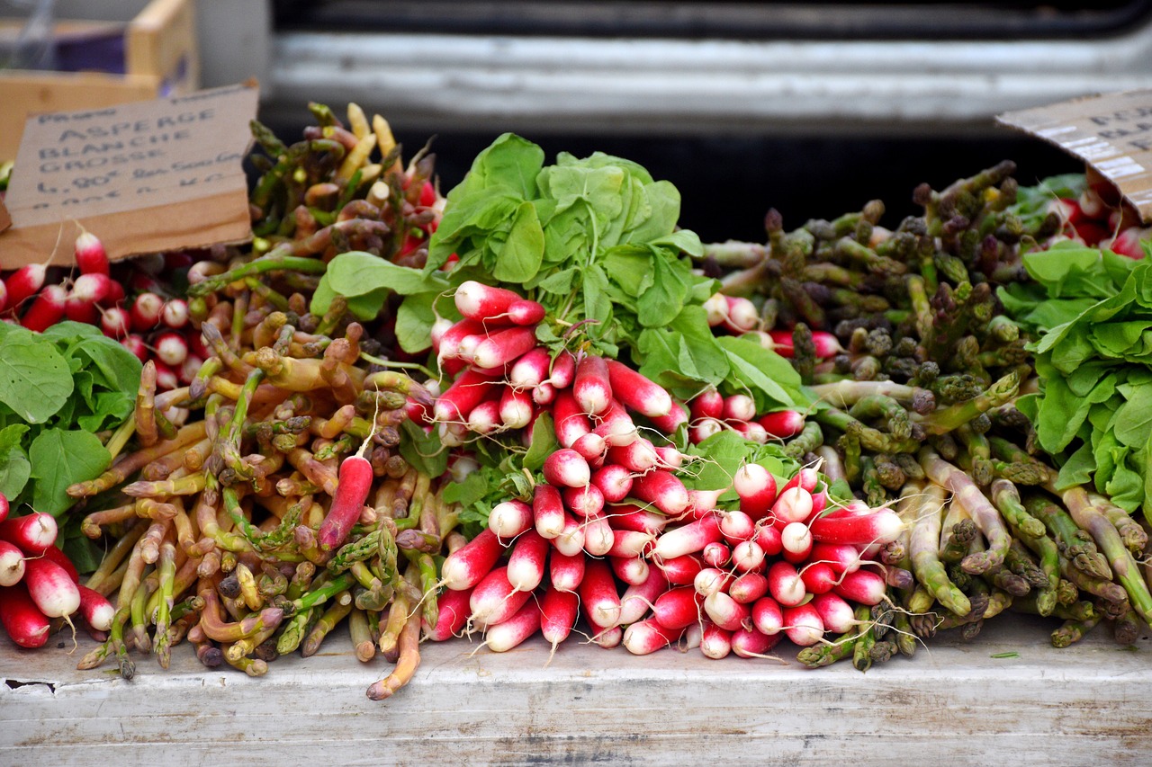 龍魚和粗線魚混養(yǎng)好嗎，紅龍跟什么魚混養(yǎng)漂亮，龍魚和粗線魚混養(yǎng)好嗎