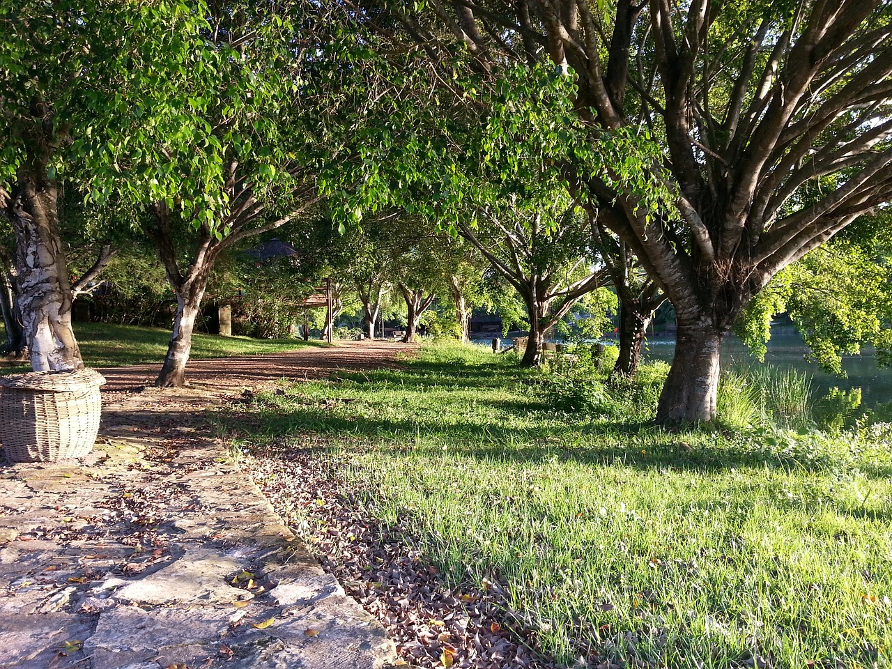 山東濰坊魚缸造景哪家價(jià)格合理，濰坊風(fēng)景魚缸哪家價(jià)格便宜