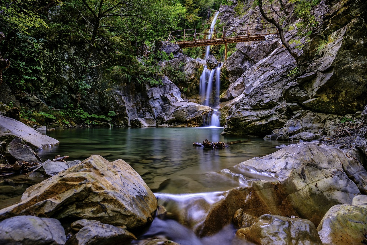 庭院景觀魚池圖片（別墅花園水池設(shè)計(jì)該如何進(jìn)行） 廣州景觀設(shè)計(jì) 第1張