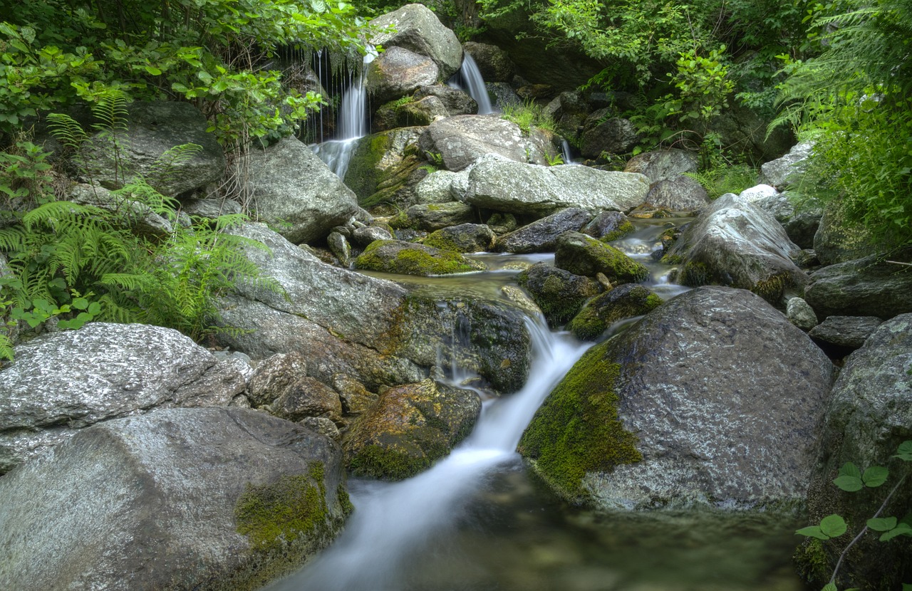 庭院景觀魚池圖片（別墅花園水池設(shè)計(jì)該如何進(jìn)行） 廣州景觀設(shè)計(jì) 第2張