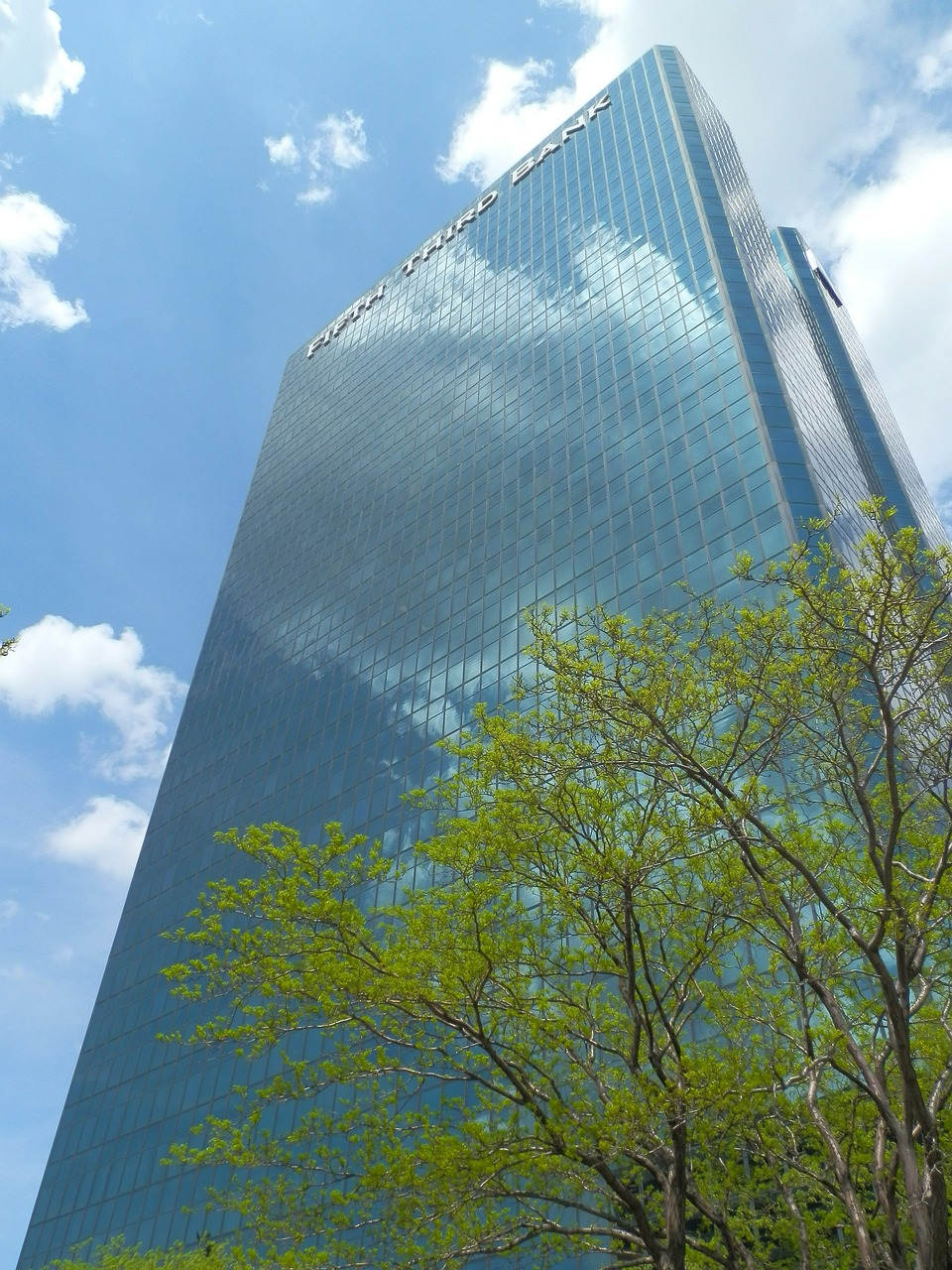 佛山市三水區(qū)西南街宜居水族店 全國水族館企業(yè)名錄 第3張