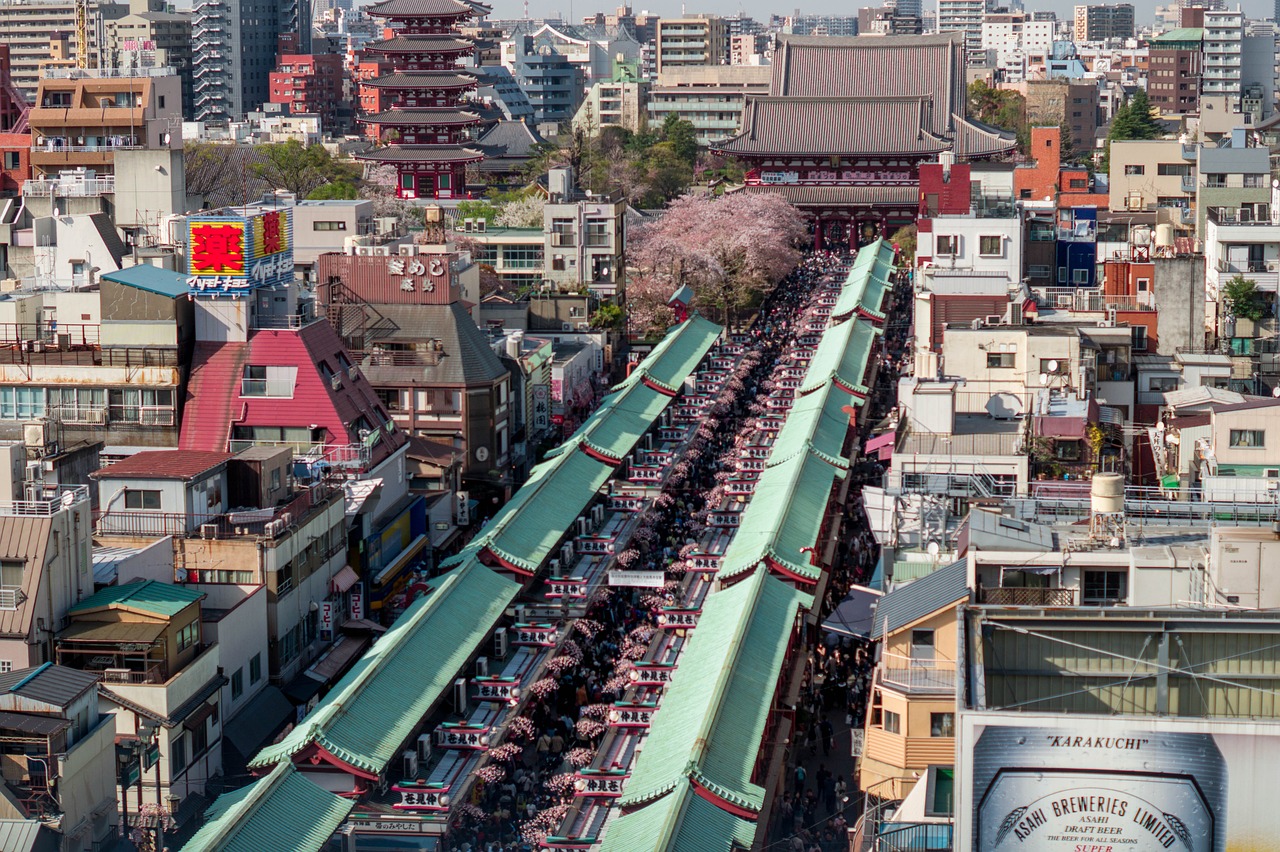 上海市浦東新區(qū)浦興街道萬(wàn)山紅花卉店 全國(guó)水族館企業(yè)名錄 第3張