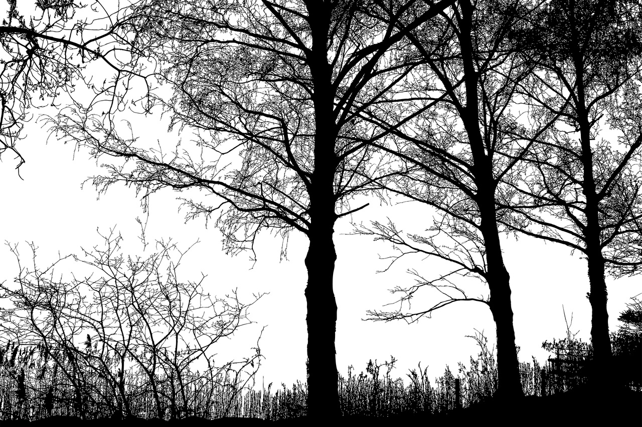 景觀設(shè)計(jì)專業(yè)哪個(gè)學(xué)校比較好（環(huán)境設(shè)計(jì)專業(yè)的考研，不知道考哪所學(xué)校。） 廣州景觀設(shè)計(jì) 第2張